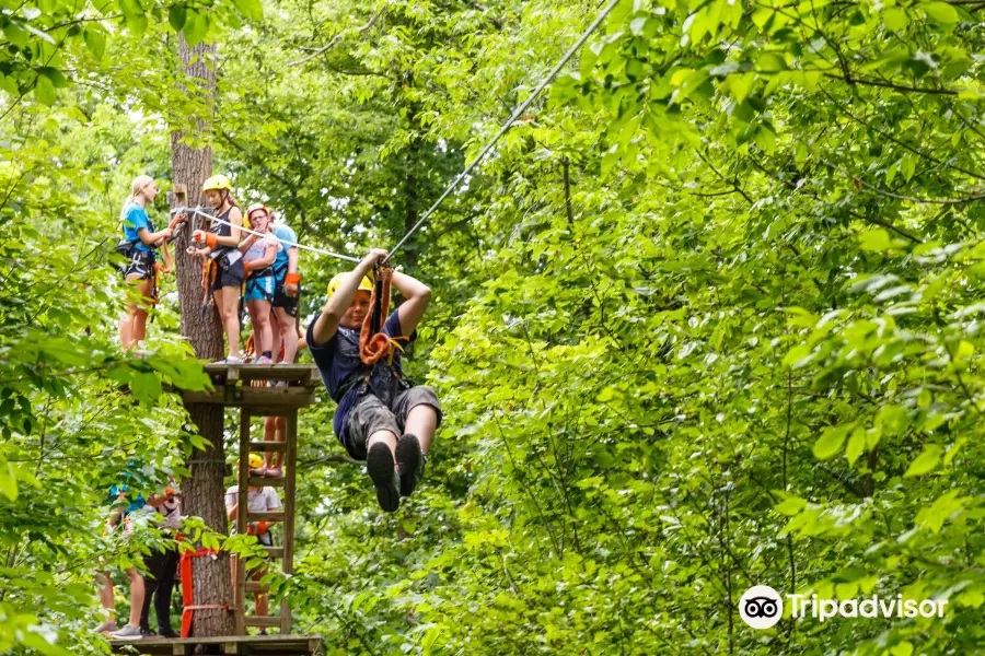 Markin Farms Zipline Adventures