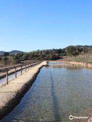 Salinas de Iptuci