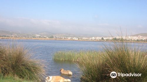 La laguna del Padul