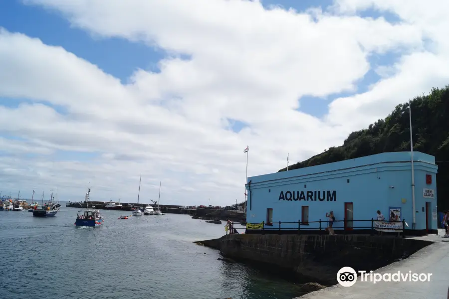 Mevagissey Aquarium