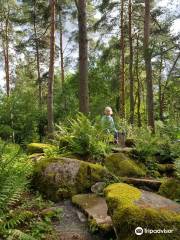 Hortsanan Arboretum