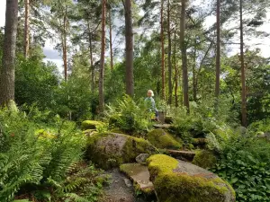 Hörtsänä Arboretum