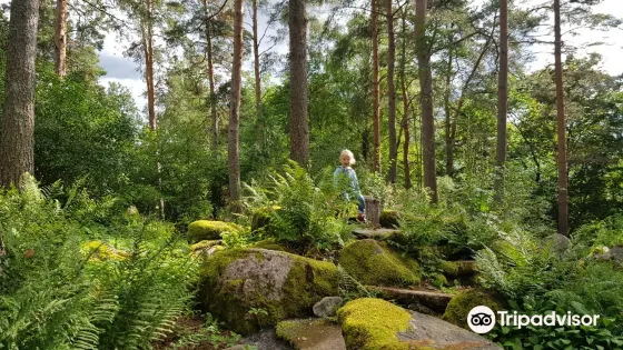 Hortsanan Arboretum
