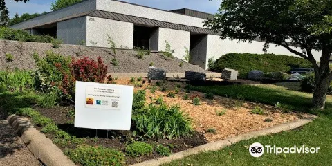 Stearns History Museum