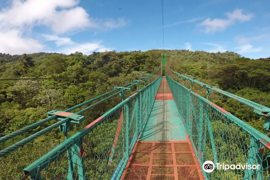 Santa Elena Skywalk