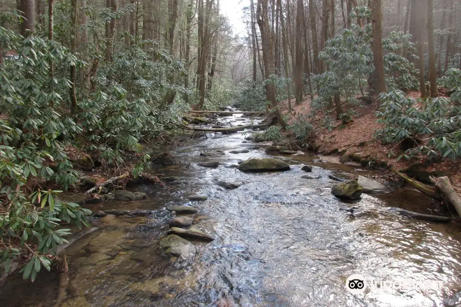 Long Creek Falls