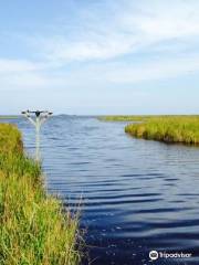 Currituck Banks Reserve