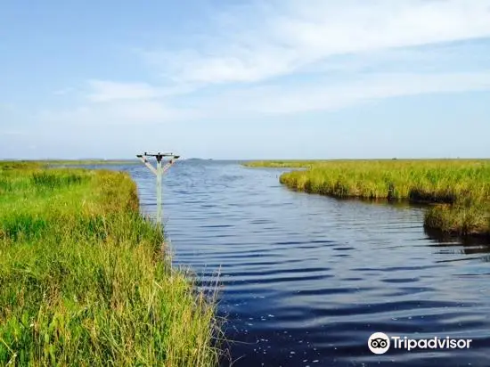 Currituck Banks Reserve