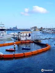 Paphos Harbour and Port