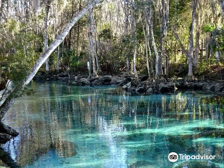 Crystal River National Wildlife Refuge