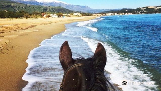 Zoraida's Horse Riding