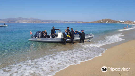 Blue Fin Divers Naxos Greece