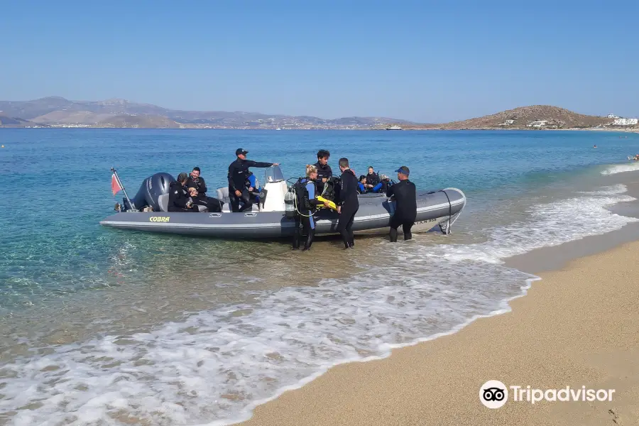 Blue Fin Divers Naxos Greece