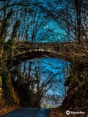 Zealandia's Bridge (Helen's Bridge)