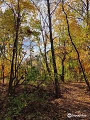 DeGraaf Nature Center