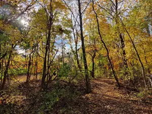 DeGraaf Nature Center