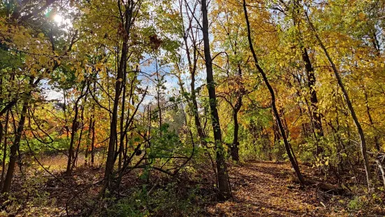 DeGraaf Nature Center