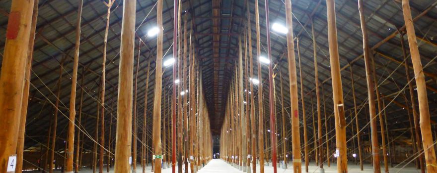 Murtoa Stick Shed