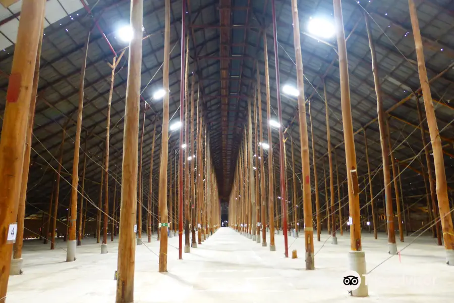 Murtoa Stick Shed