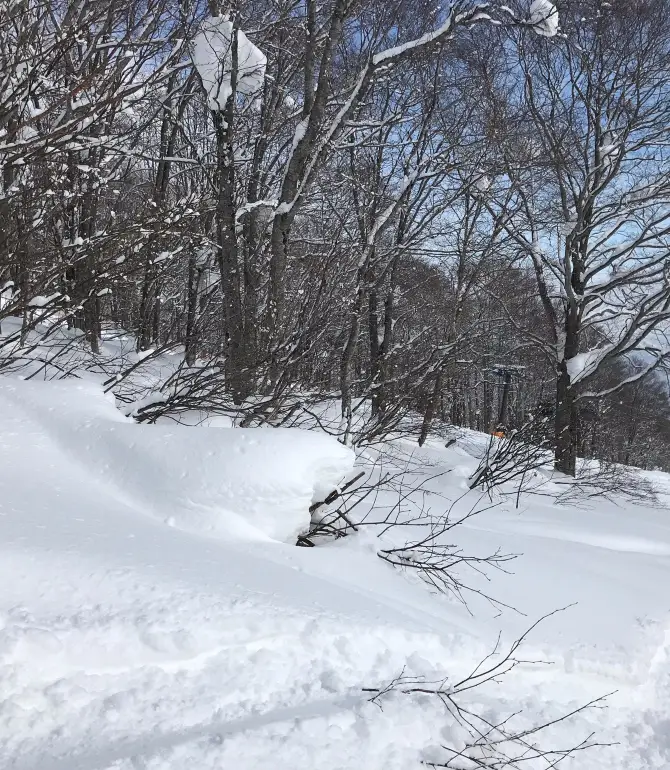 Myoko Kogen