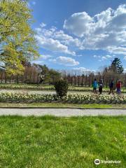 Massachusetts Horticultural Society - Garden at Elm Bank