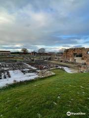 Wroxeter Roman City