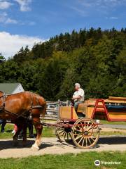 Carriages of Acadia