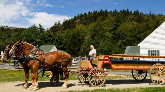 Carriages of Acadia