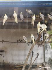 Agadir Birds Valley