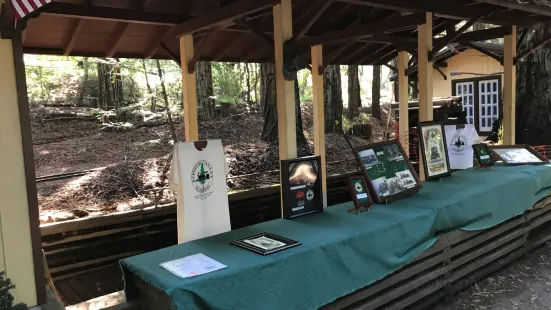 Tilden Park Steam Train at the Redwood Valley Railway