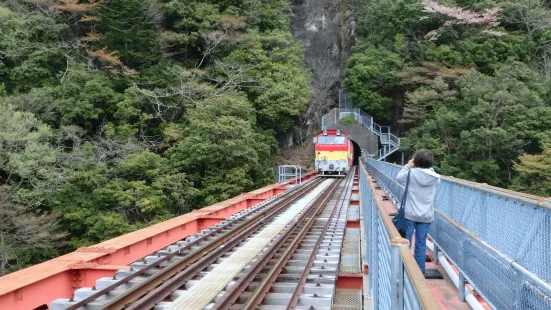 奧大井湖上