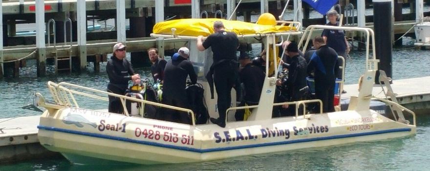 SEAL Diving Services