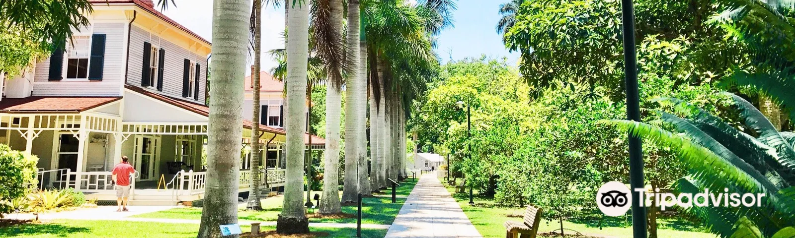 Fort MyersExperiences