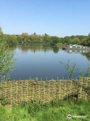 Ferry Meadows Country Park