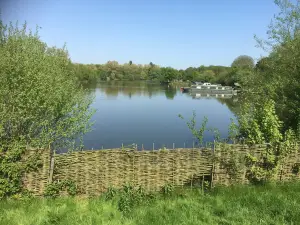 Ferry Meadows Country Park