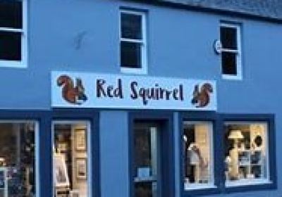 Red Squirrel