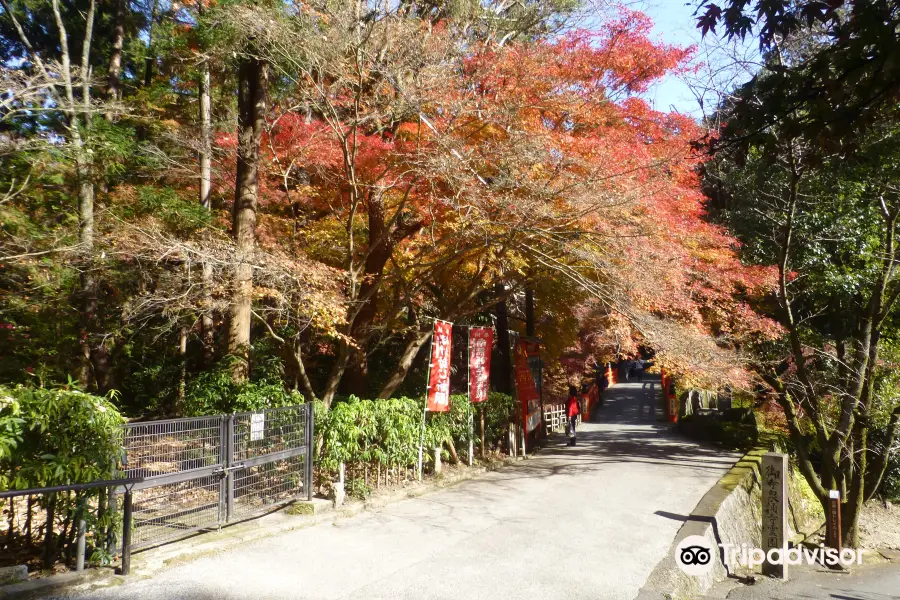 Imakumano Kannon-ji Temple Torii bridge