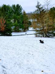 Cedar Creek Park