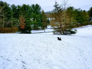 Cedar Creek Park