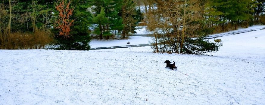 Cedar Creek Park