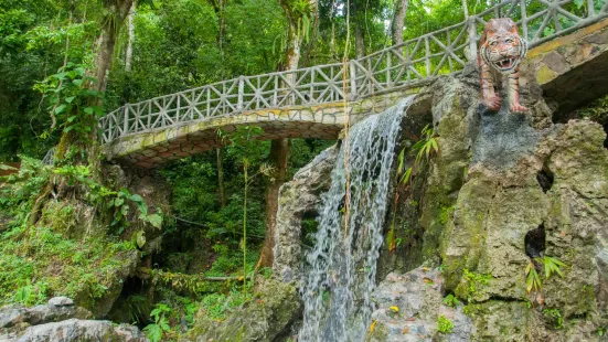 Centro Turistico Naciente del Rio Tio Yacu