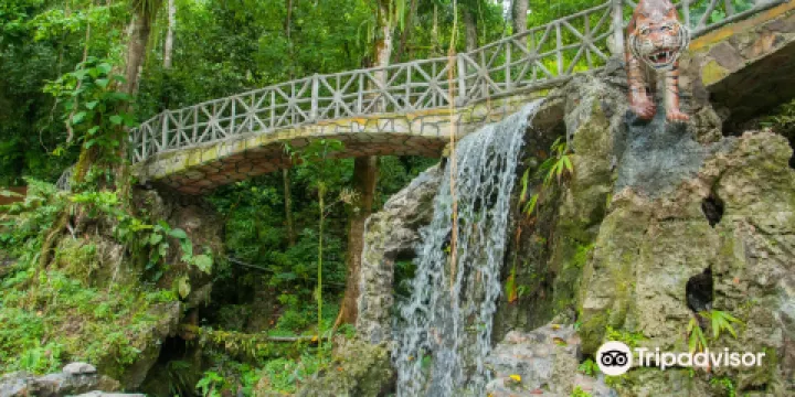 Centro Turistico Naciente del Rio Tio Yacu