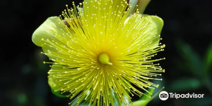 Jardin botanique littoral de Saint-Jean-de-Luz