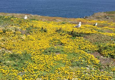 Anacapa Island