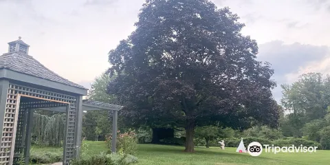 Strawbridge Lake Park