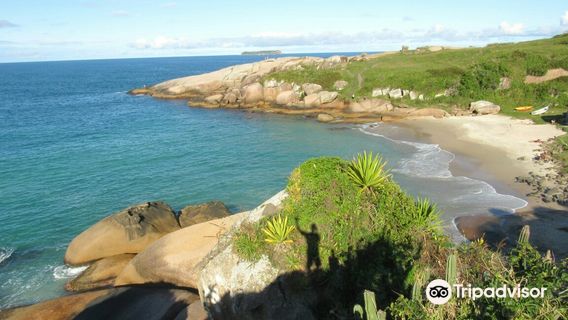 Trilha Praia do Gravatá