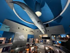 Science Museum of Whale and Sea