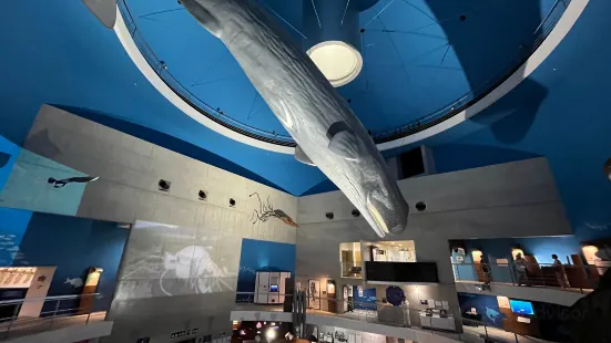 鯨魚和海洋科學館
