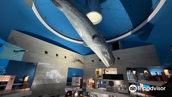 Science Museum of Whale and Sea