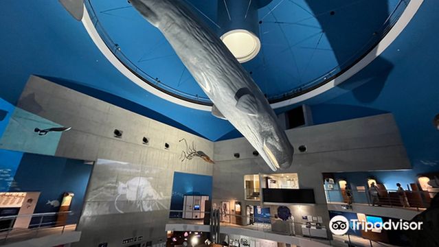 Science Museum of Whale and Sea